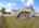 Blurred preview of media: 12-williams-street-saddle-brook-nj-usa-house-036