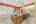 Blurred preview of media: 402 Farinelli Pkwy-120