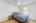 Blurred preview of media: iPixx_01_43