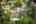 Blurred preview of media: 1930 Tahoe Cir-139