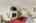 Blurred preview of media: 1-28