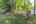 Blurred preview of media: 081A0144
