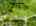 Blurred preview of media: 1-726-