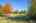 Blurred preview of media: IMG_1329