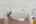 Blurred preview of media: 1600 DYLAN ST web-9