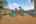 Blurred preview of media: Aberdean-42