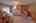 Blurred preview of media: IMG_2494_5_6