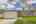 Blurred preview of media: IMG_0473.1