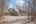 Blurred preview of media: PAX_9217