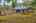 Blurred preview of media: IMG_4451_2_3_easyHDR