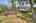 Blurred preview of media: IMG_4580_1_2_easyHDR