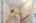 Blurred preview of media: 16 Abel Jones Place Acton Massachusetts Job 40418 0032