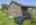 Blurred preview of media: IMG_1297