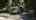 Blurred preview of media: DJI_0694