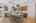 Blurred preview of media: 049_DSC05824