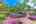 Blurred preview of media: 081A0027
