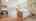 Blurred preview of media: IMG_0443