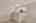 Blurred preview of media: 9400 Underwing Way 8-13