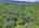 Blurred preview of media: DJI_20260616121745_0979_D_80_D_81_D_easyHDR