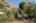 Blurred preview of media: 12