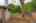 Blurred preview of media: 05