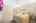 Blurred preview of media: 1-726-1119