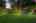Blurred preview of media: 260190T-3a