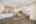 Blurred preview of media: 834A0860b