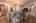 Blurred preview of media: IMG_1748-Edit