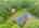 Blurred preview of media: 66 Woobly Road Bolton Massachusetts Job 39072 0071