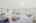 Blurred preview of media: bristow_018