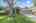 Blurred preview of media: DSC07262