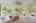 Blurred preview of media: 28 Vinal Street Hudson Massachusetts Job 38782 0023