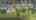 Blurred preview of media: ipixx-26 copy