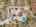 Blurred preview of media: DJI_0222-HDR