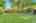 Blurred preview of media: 260190-30