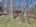 Blurred preview of media: DJI_20260424125150_0630_D_1_D_2_D_easyHDR