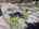 Blurred preview of media: IMG_8938