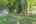 Blurred preview of media: 081A0141
