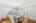 Blurred preview of media: 2bobwhite_036