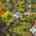 Blurred preview of media: DJI_20261002132257_0163_D
