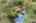 Blurred preview of media: 99 Beaver Road Reading Massachusetts Job 39079 0087