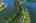 Blurred preview of media: iPixx_10_62