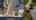 Blurred preview of media: 345-30
