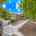 Blurred preview of media: 1-926-8163