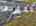 Blurred preview of media: 9k
