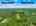 Blurred preview of media: 1-726--2