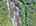 Blurred preview of media: DJI_20250802144153_0649_D_50_D_51_D_easyHDR