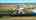 Blurred preview of media: Unknown media