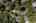 Blurred preview of media: Aerial 11